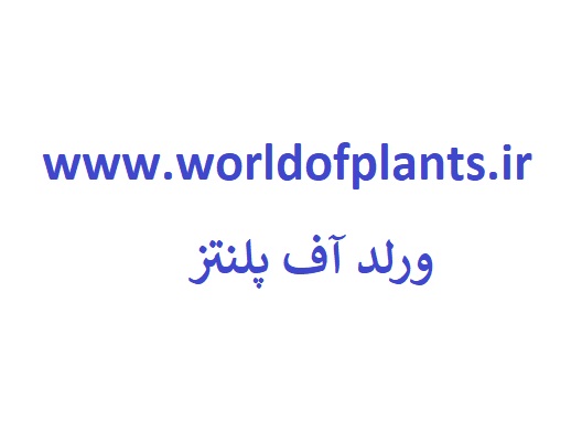 www.worldofplants.ir